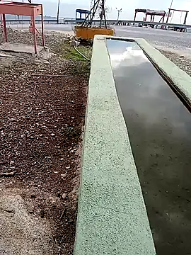 parabellumm online show from 3, 10, 2025