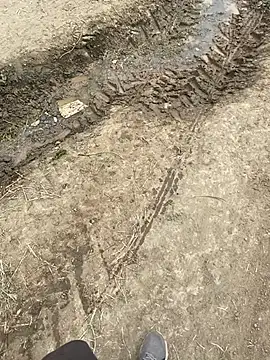 parabellumm online show from 17, 4, 2026