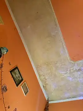 Snapshot of ducicsajsziii chatting on 10, 1, 2025 ducicsajsziii online show from 10, 1, 2025