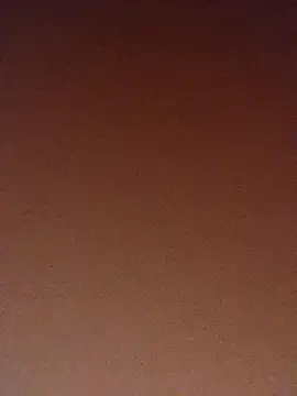 pinaxpack1 online show from 3, 11, 2025