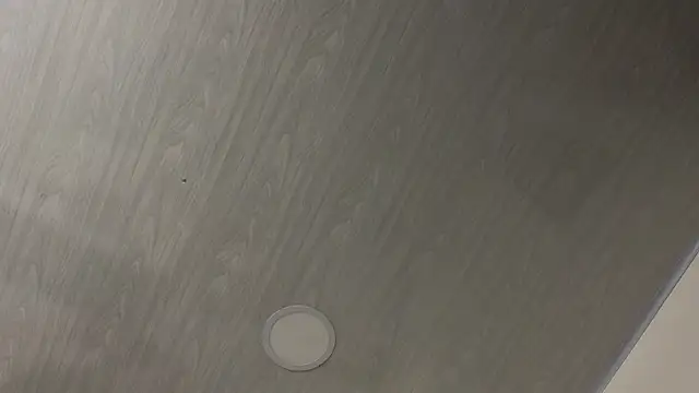 dolly zoe online show from 24, 2, 2026