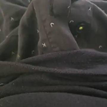 surfer fun29 online show from 2, 12, 2025