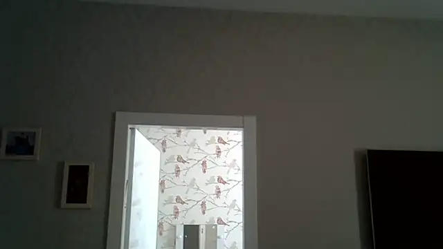 ZarinaSwift online show from 17, 6, 2026