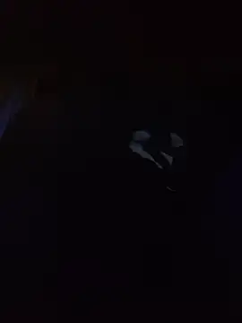 Hotbodyscottie online show from 13, 3, 2026