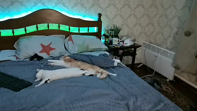 FelvivalKitty online show from 8, 1, 2025