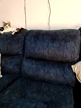 Snapshot of MrsFoucher chatting on 12, 2, 2026 MrsFoucher online show from 12, 2, 2026