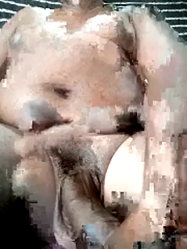 poloplayer123 online show from 11, 4, 2026