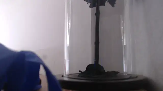 Snapshot of Janna099 chatting on 21, 9, 2025 Janna099 online show from 21, 9, 2025