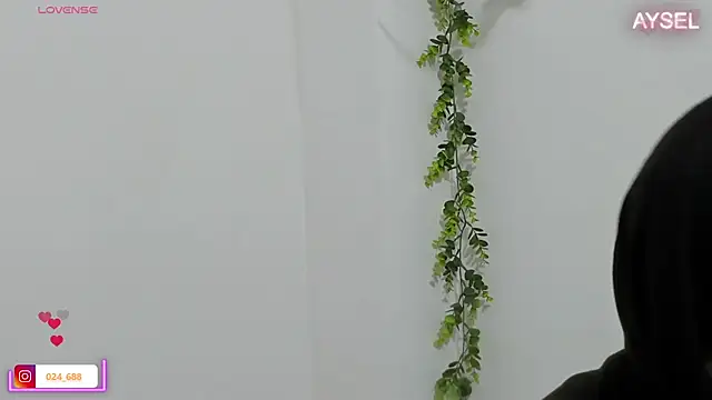 Snapshot of aysel_elid chatting on 8, 1, 2025 aysel elid online show from 8, 1, 2025