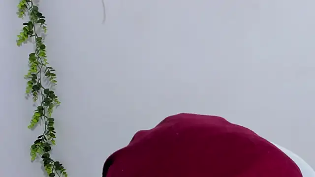 Snapshot of aysel_elid chatting on 30, 1, 2025 aysel elid online show from 30, 1, 2025