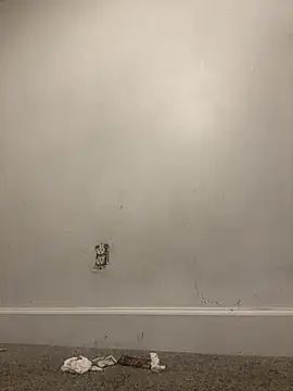 Snapshot of Atlantalitty chatting on 11, 1, 2025 Atlantalitty online show from 11, 1, 2025