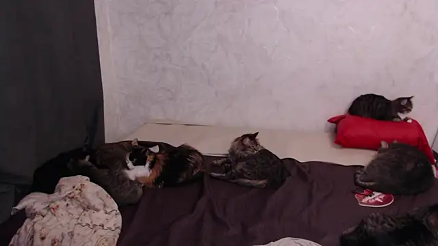 Olivia Winston online show from 4, 2, 2026