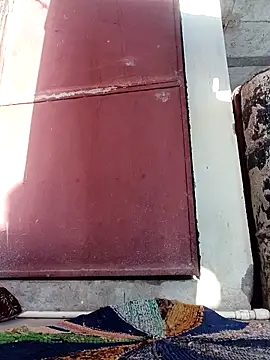 Mamta Chaterjee online show from 10, 3, 2026