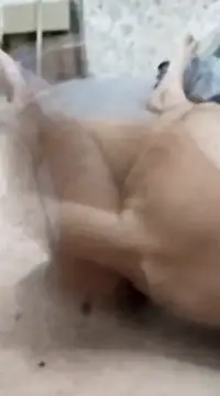 Snapshot of quierodarleche69 chatting on 20, 1, 2025 quierodarleche69 online show from 20, 1, 2025