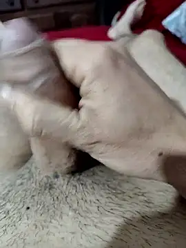 Snapshot of quierodarleche69 chatting on 31, 10, 2025 quierodarleche69 online show from 31, 10, 2025