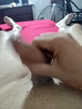 Snapshot of quierodarleche69 chatting on 16, 2, 2026 quierodarleche69 online show from 16, 2, 2026