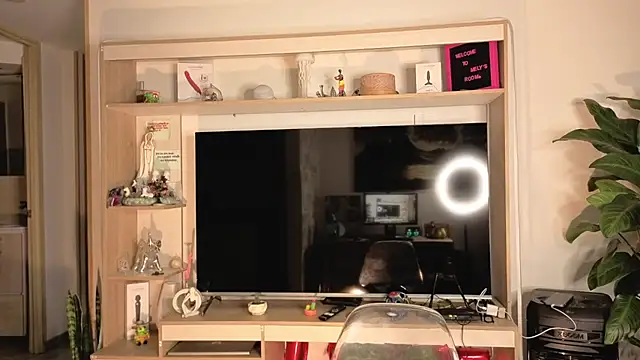 Michelle se online show from 10, 4, 2026