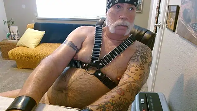musclebearnips online show from 23, 6, 2026
