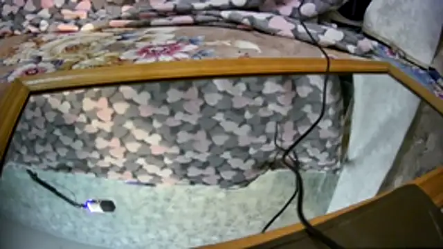 Kai and you online show from 21, 11, 2025