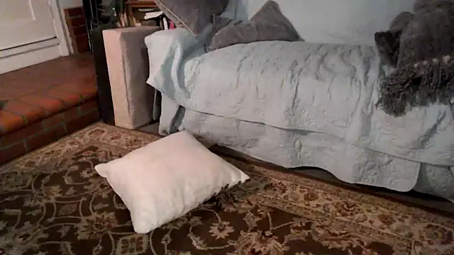 Dark Asteroid online show from 20, 2, 2026