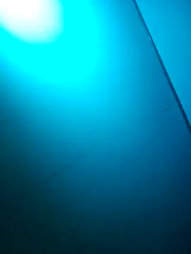 nicedicknicetats online show from 31, 10, 2025