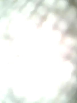 Snapshot of molozeb chatting on 12, 10, 2025 molozeb online show from 12, 10, 2025