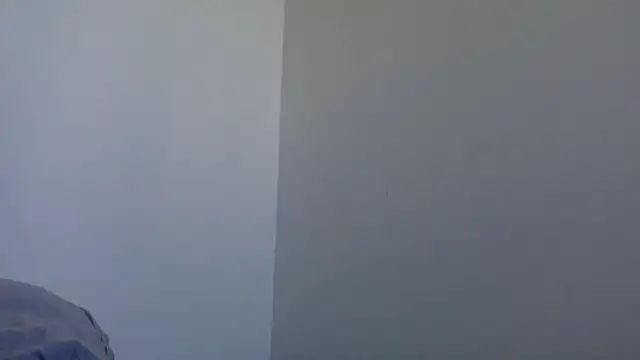 molozeb online show from 8, 2, 2026