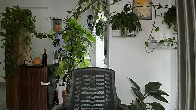 Oliver Nl online show from 7, 1, 2026