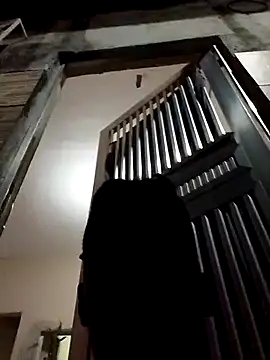 Snapshot of fieltoprj1 chatting on 13, 12, 2024 fieltoprj1 online show from 13, 12, 2024