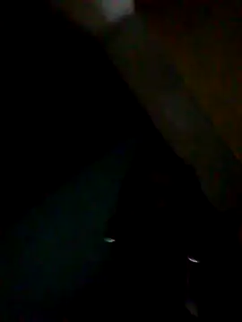 Snapshot of fieltoprj1 chatting on 10, 9, 2025 fieltoprj1 online show from 10, 9, 2025