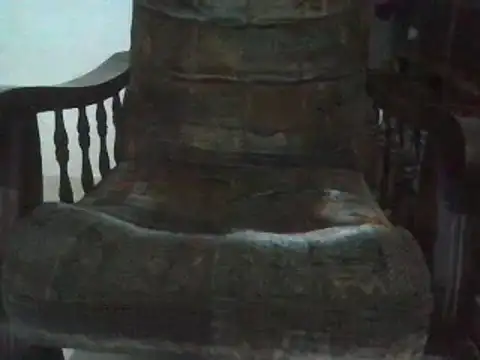 asgard7 online show from 25, 12, 2024