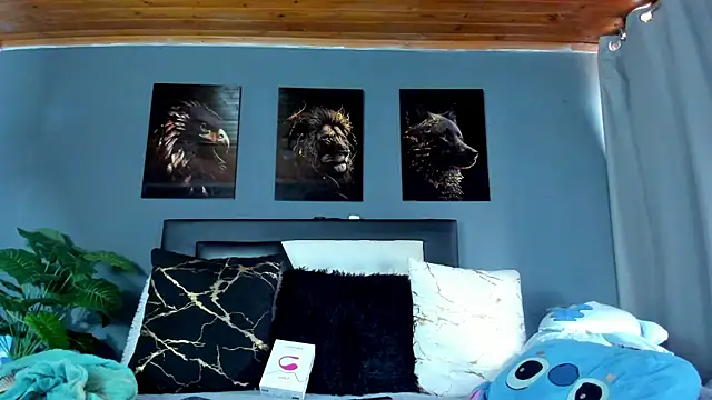 francesco evan online show from 9, 1, 2026