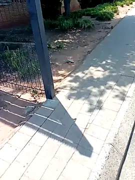 KinkyYours online show from 4, 10, 2025