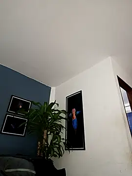 SilvaBranko online show from 18, 12, 2025