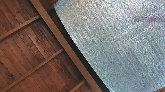 SilvaBranko online show from 25, 3, 2026