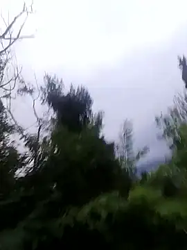 maleesa online show from 1, 10, 2025