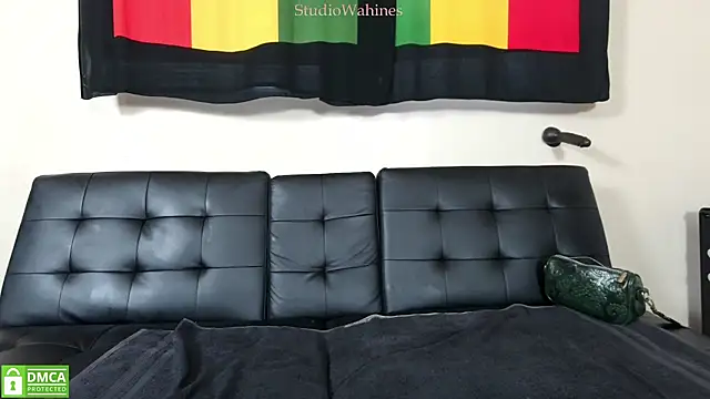 Snapshot of StudioWahines chatting on 19, 2, 2025 StudioWahines online show from 19, 2, 2025