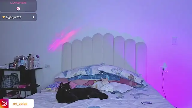 charlotte 002 online show from 16, 3, 2026