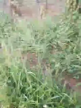 Snapshot of hotpussy-11 chatting on 11, 12, 2024 hotpussy-11 online show from 11, 12, 2024