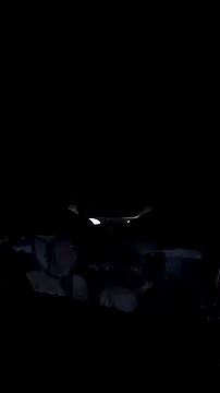 AriellaTaylor online show from 14, 12, 2025