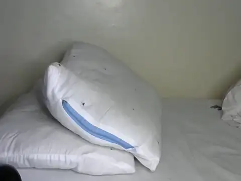 Novah  online show from 8, 4, 2026