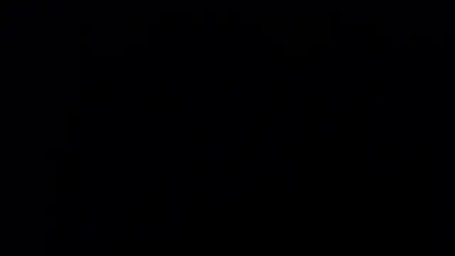 zacwatson  online show from 24, 1, 2025