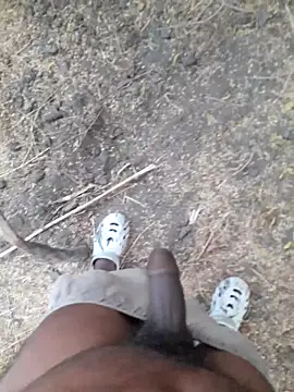 Ajith mvi online show from 9, 4, 2026