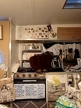 Snapshot of whitetrashdirtyslut chatting on 18, 3, 2026 whitetrashdirtyslut online show from 18, 3, 2026