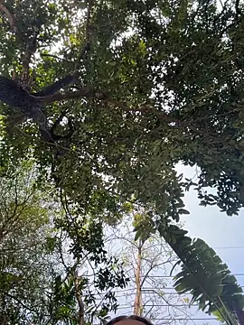 JessiMur online show from 11, 2, 2026