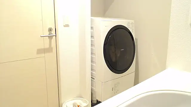 Snapshot of Kakushi_dori chatting on 16, 12, 2024 Kakushi dori online show from 16, 12, 2024