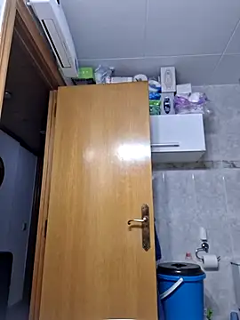 Javier bear online show from 12, 2, 2026