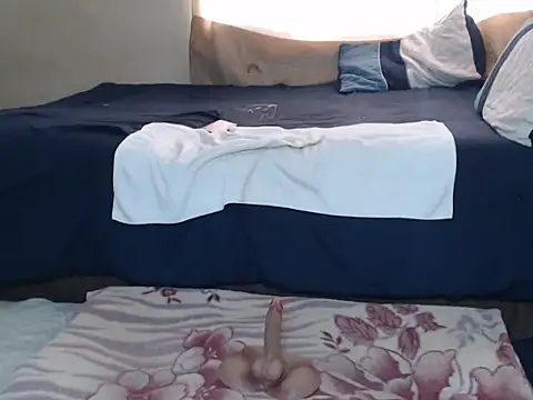 AdelaideT online show from 15, 4, 2026