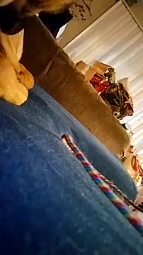 fukurbutt online show from 19, 2, 2026