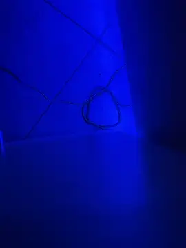 Snapshot of Bennyben8604 chatting on 7, 12, 2024 Bennyben8604 online show from 7, 12, 2024